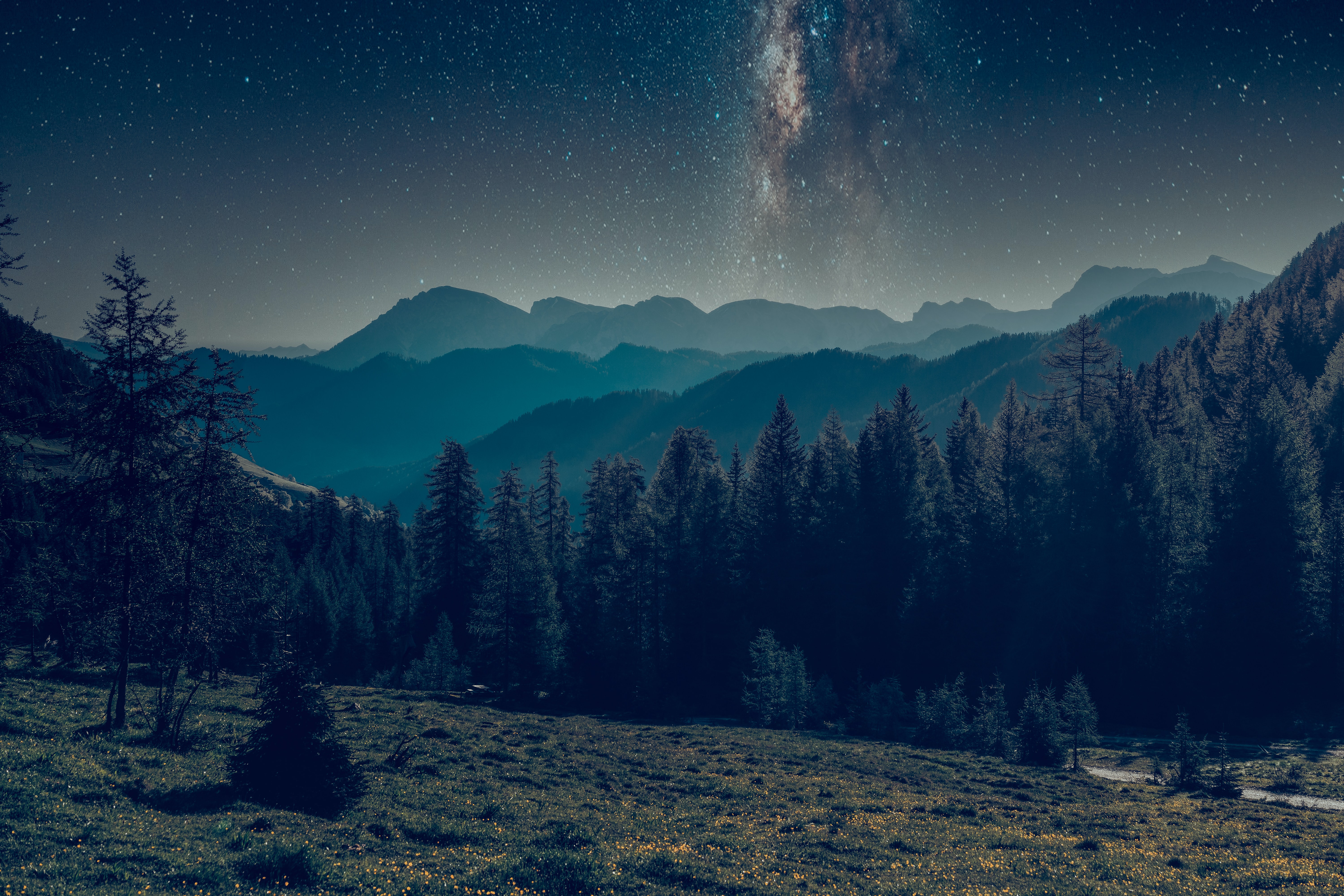 Testing your OpenAPI Contract with Spectator cover image